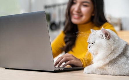 En kvinne ved en datamaskin med en katt ved siden av.